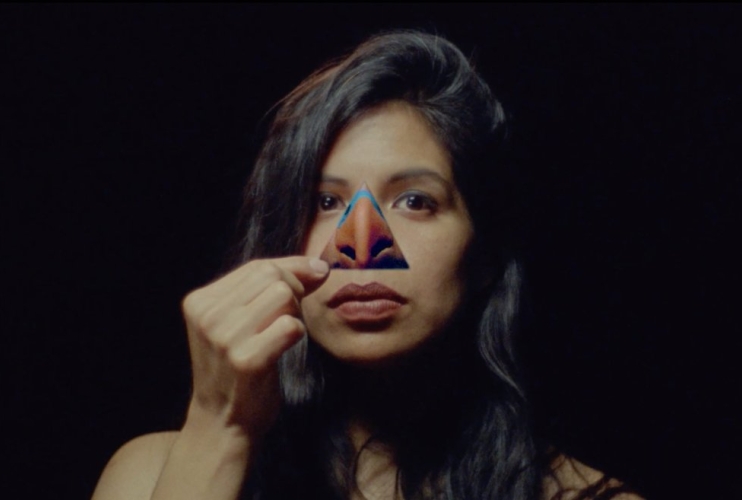 La Sección oficial del festival Punto de Vista reunirá diecinueve películas producidas en dieciocho países de todo el mundo