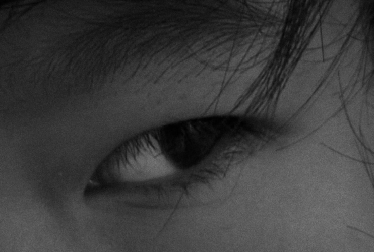 Palmarés Punto de Vista 2026