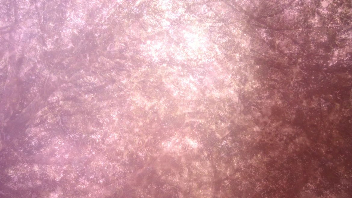 Forever Young: Cinema in relief