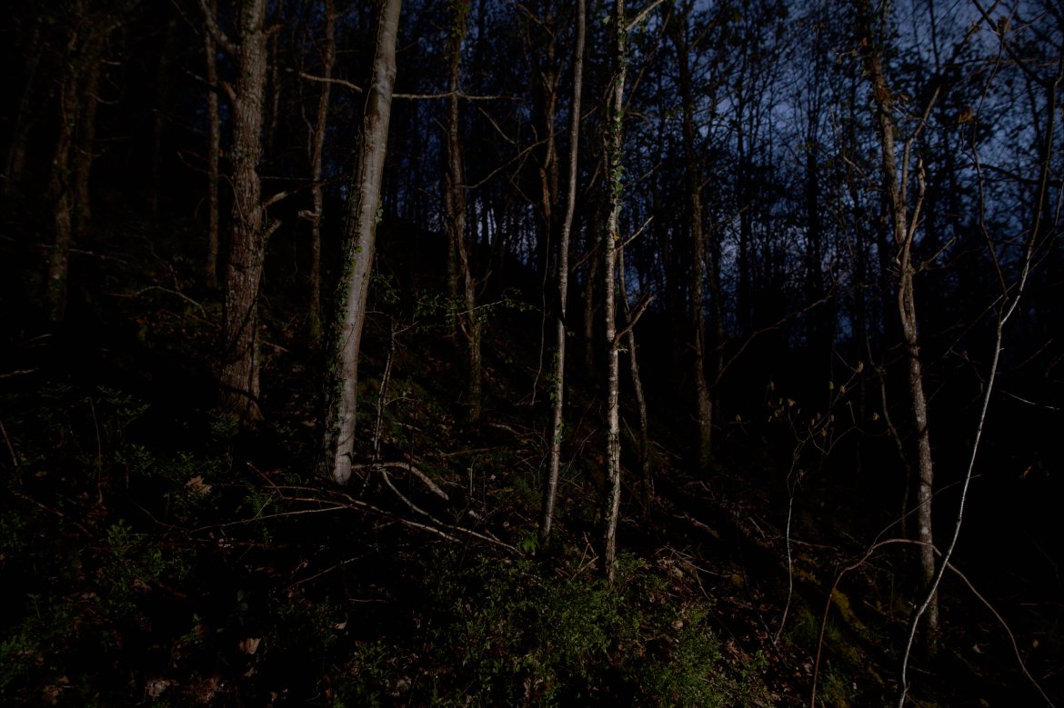 X Films film 2025: Gaulana