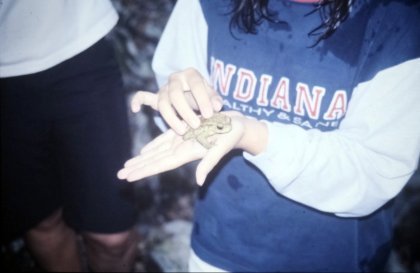 Moving Cinema Young Programmers Session