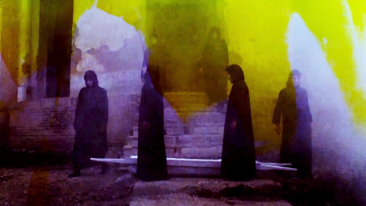 Daria’s Night Flowers