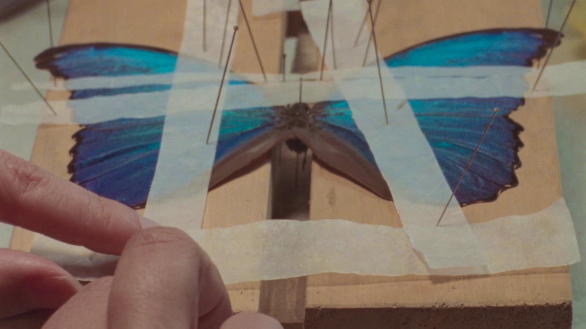 Esa otra selva blanca